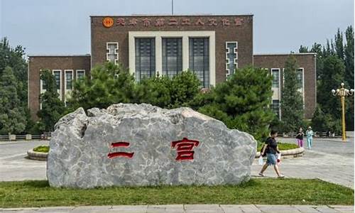 天津二宫足球,天津二宫足球斗殴