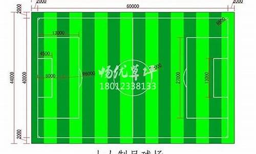 足球半场大小球水位分析APP软件,足球半場大小